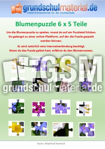 Blumenpuzzle 6x5.pdf